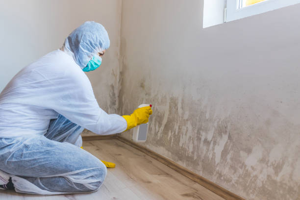 Licensed Mold Testing service in Rowlett, TX - WQB Mold Removal