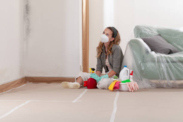 Reliable Mold Testing contractor in Rowlett, TX by WQB Mold Removal
